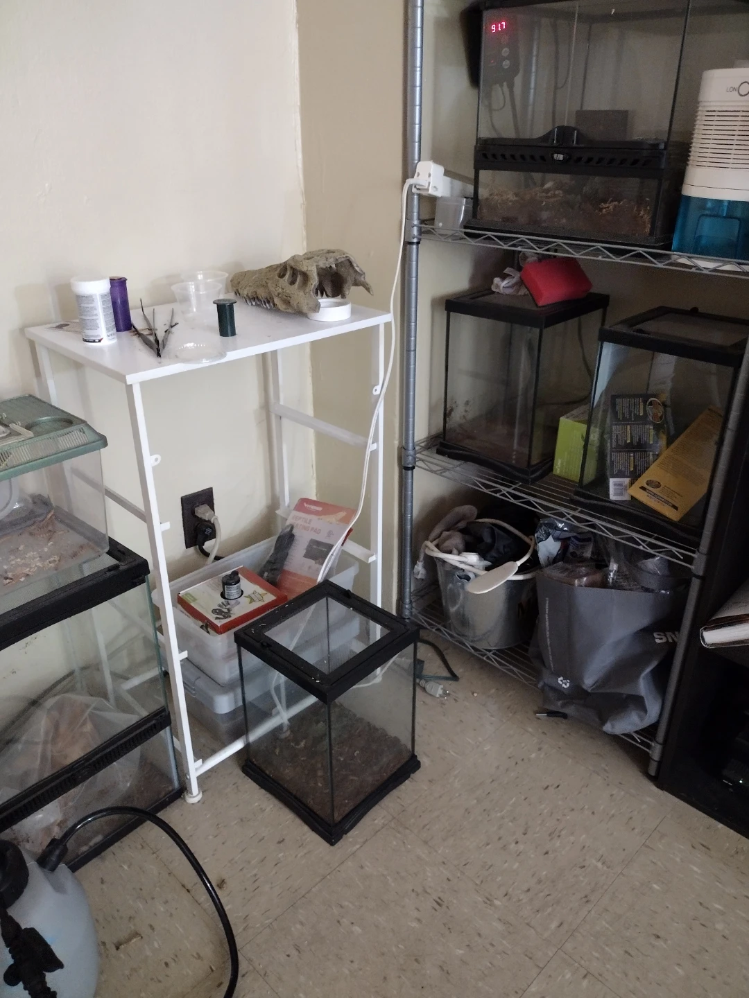 Glass Terrarium for Reptiles or Small Animals