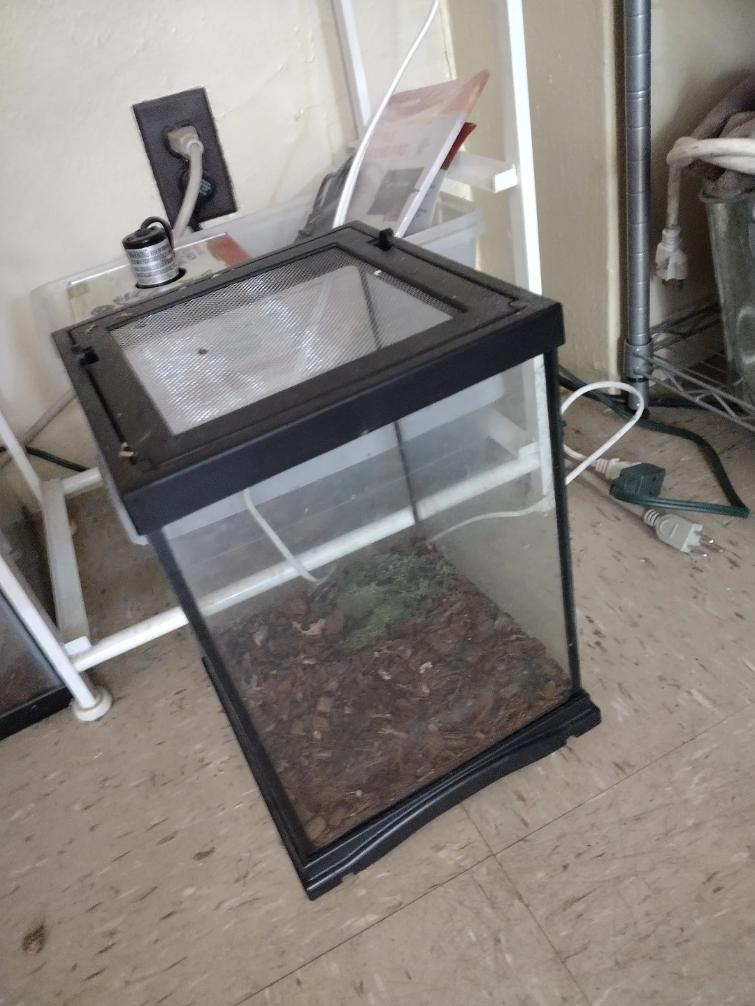 Glass Terrarium for Reptiles or Small Animals - photo 2