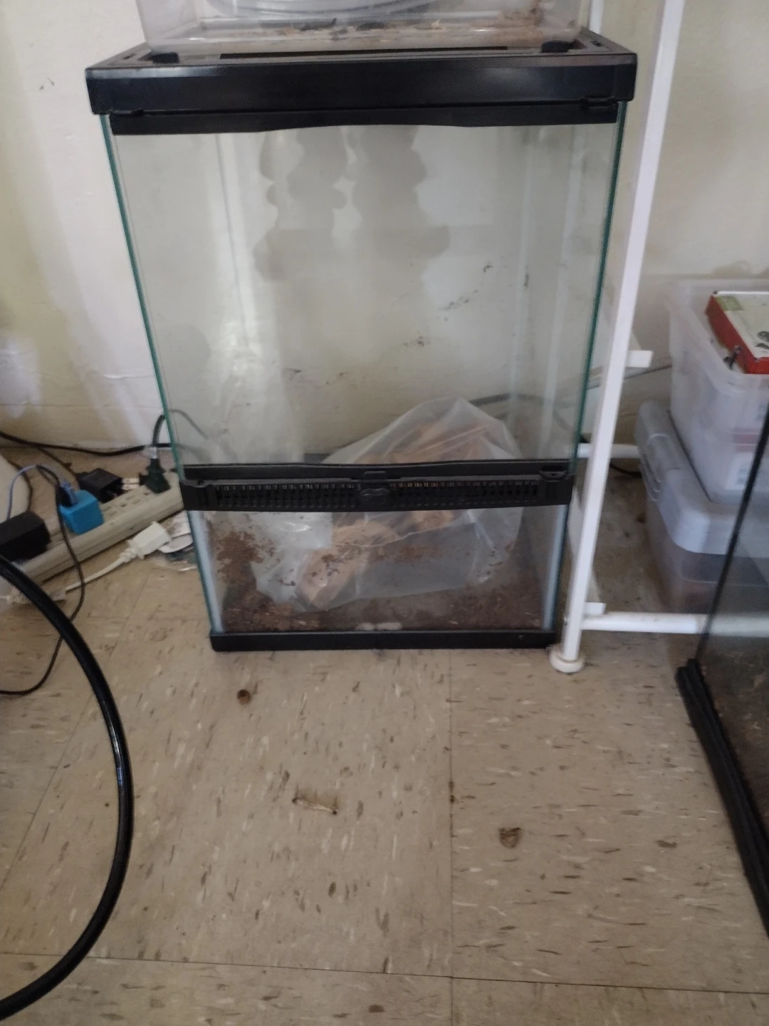 Glass Terrarium for Reptiles or Small Animals - photo 4