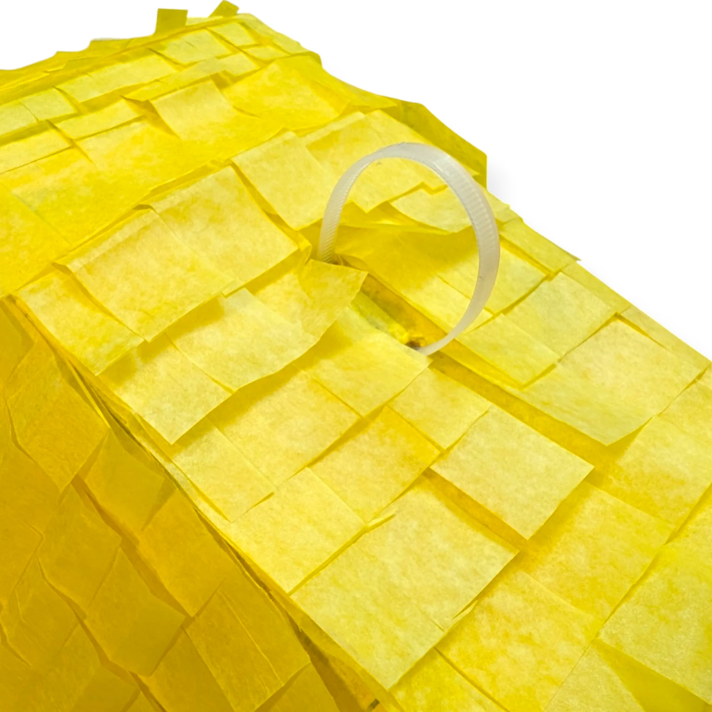 FREE Pencil Piñata! 🪅 - photo 3
