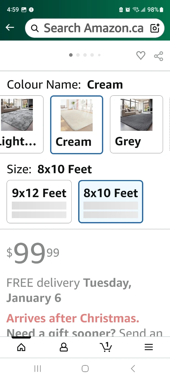 Sour Lemon 8x10 GREY Shaggy Area Rug - photo 5