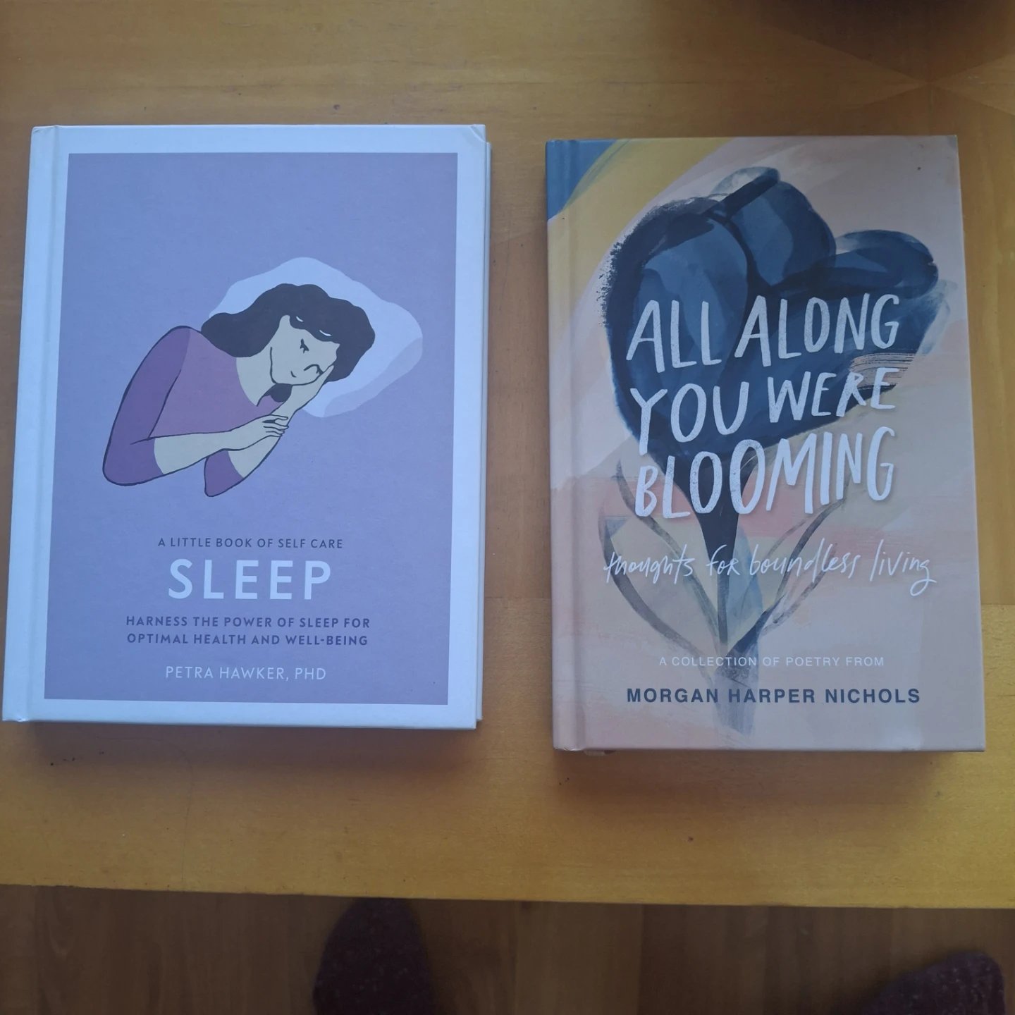 Sleep and All You Were Blooming Books
