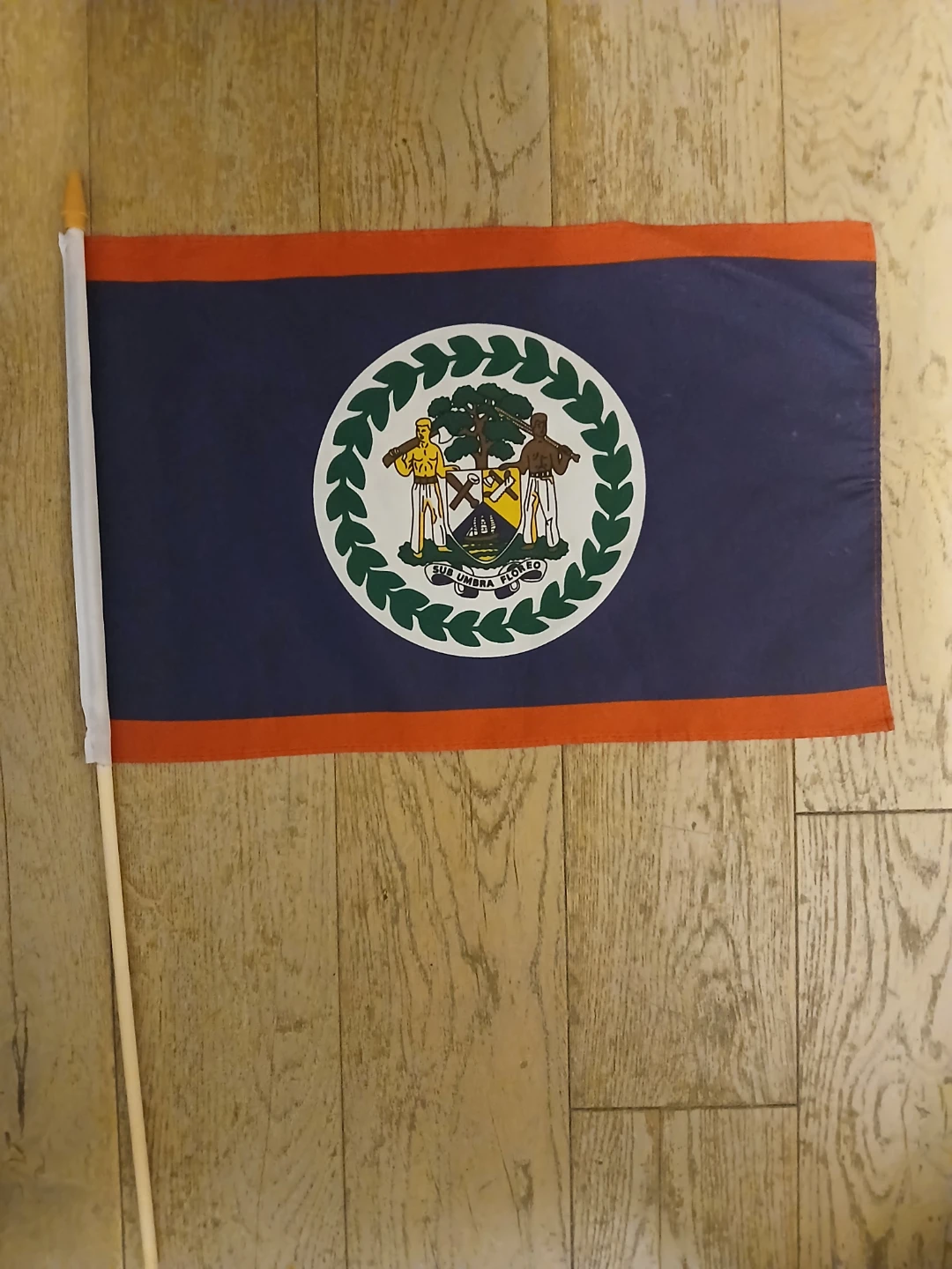 Belize Handheld Flag - photo 2