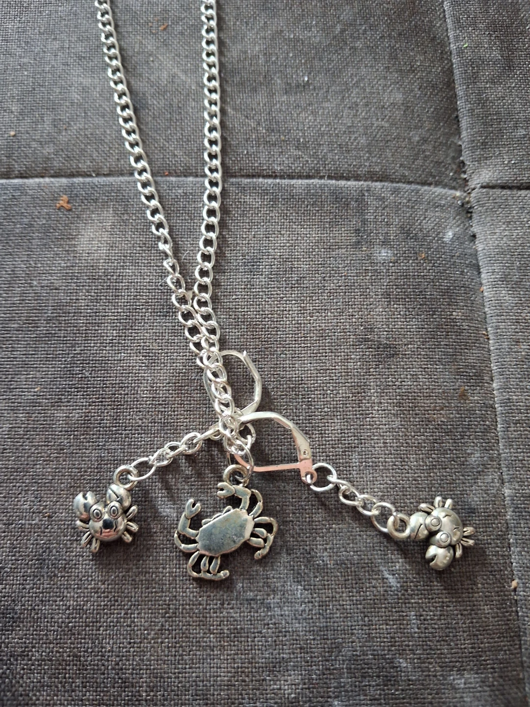 Silver Charm Necklace with earrings - photo 5