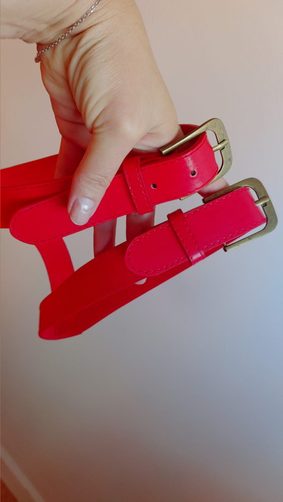 Red leather with Gold Buckle Dog Harness
