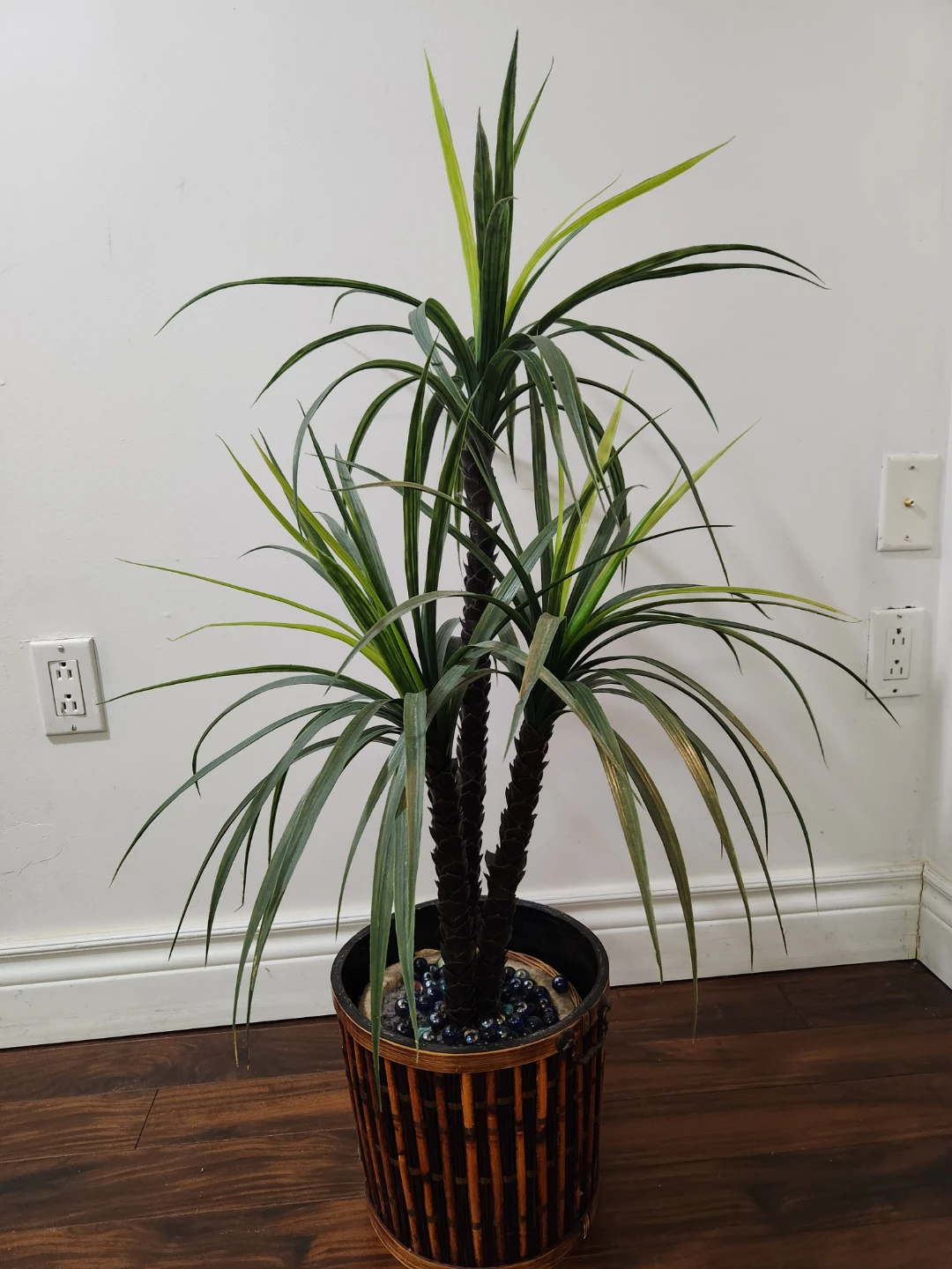 Artificial Dracaena Plant in Decorative Pot