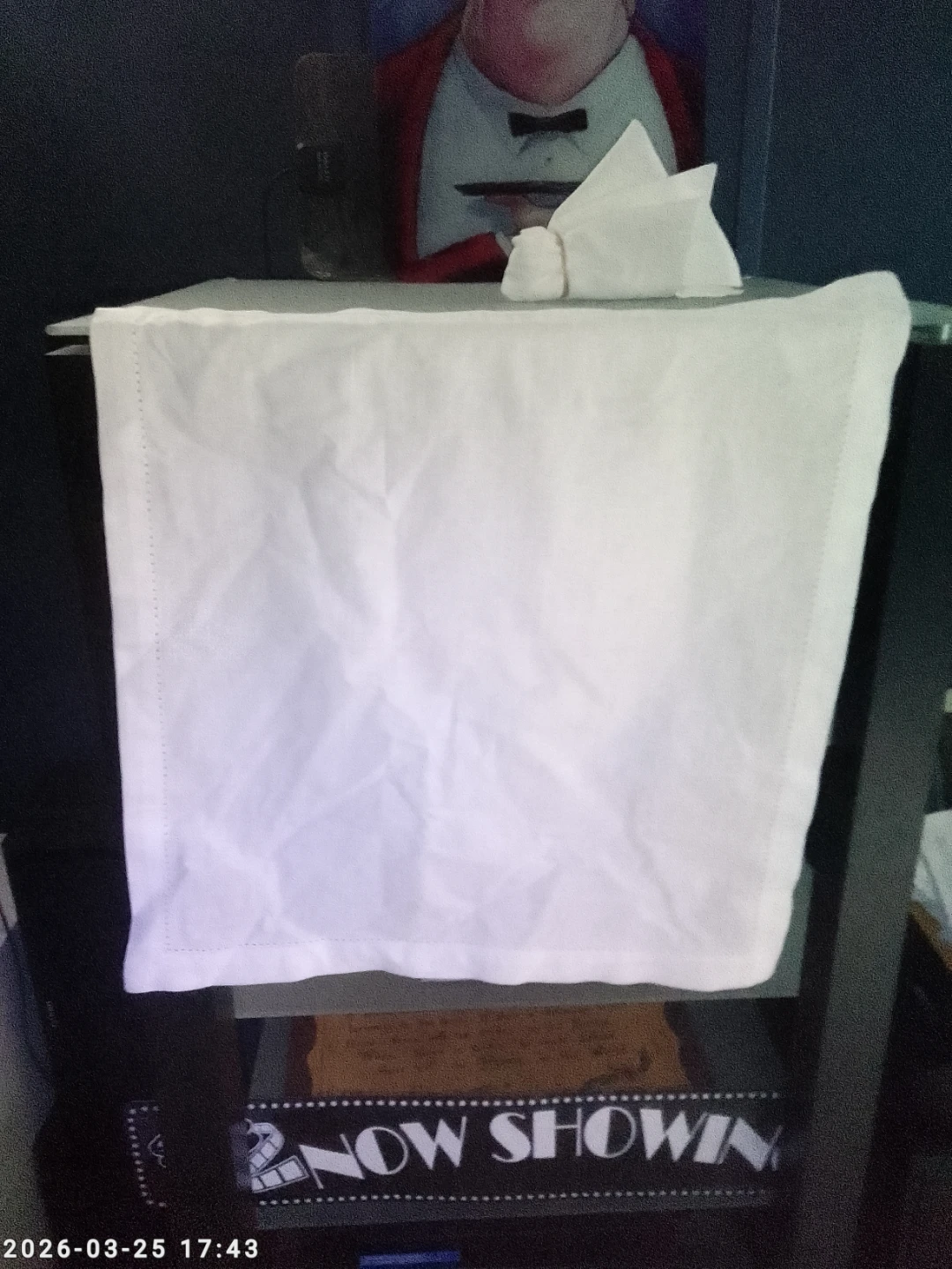 Catering and Dining clothe table napkins. - photo 3