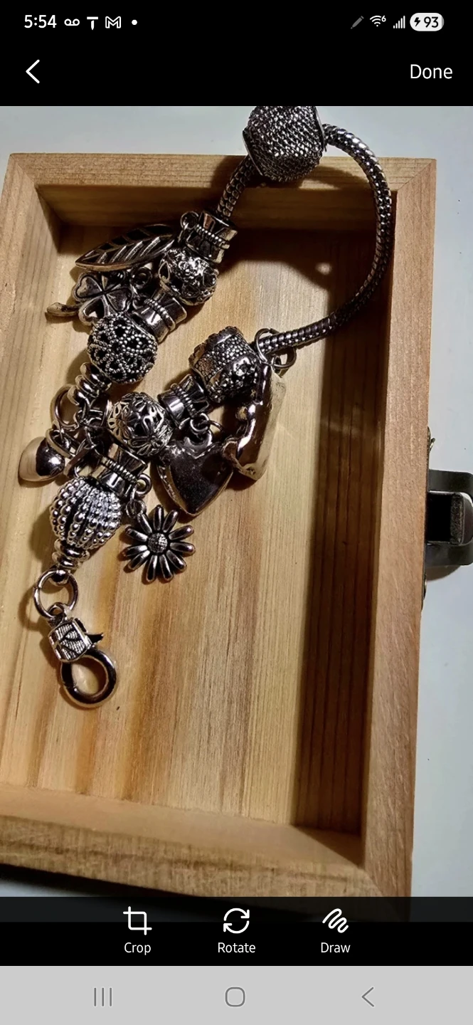 Charm Bracelet with Silver-Tone Charms - photo 4