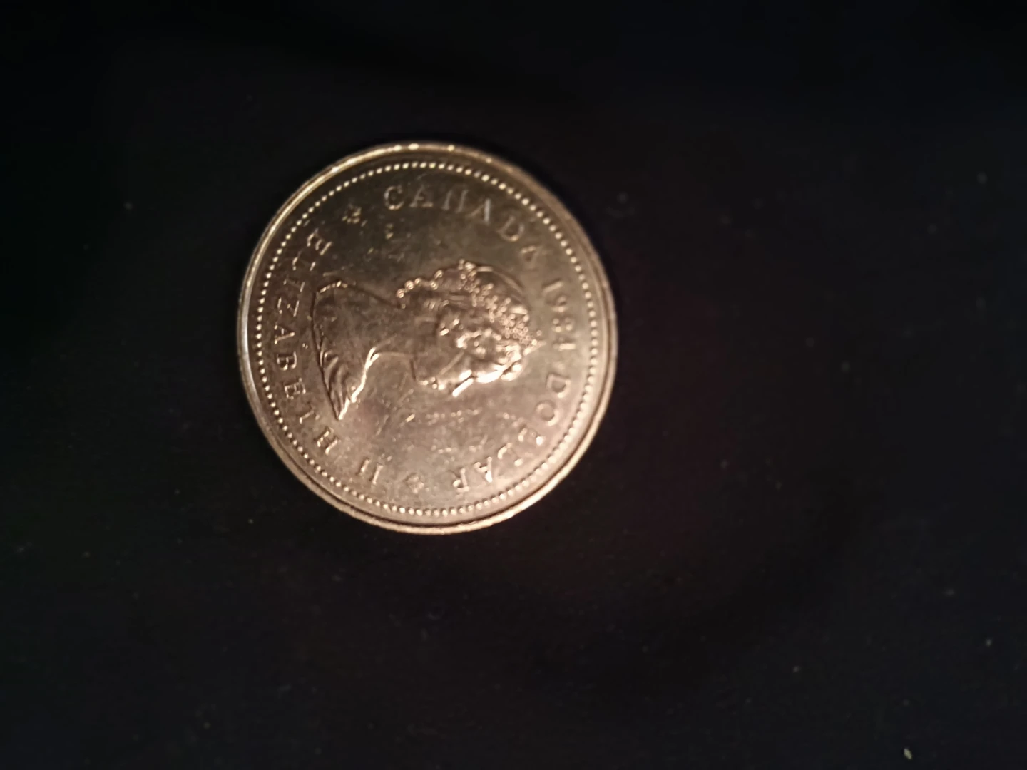 1981 Canada Dollar Coin - photo 3
