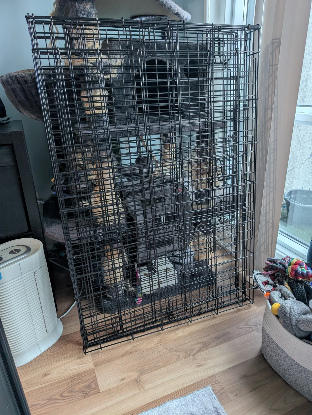 Large dog crate - photo 2