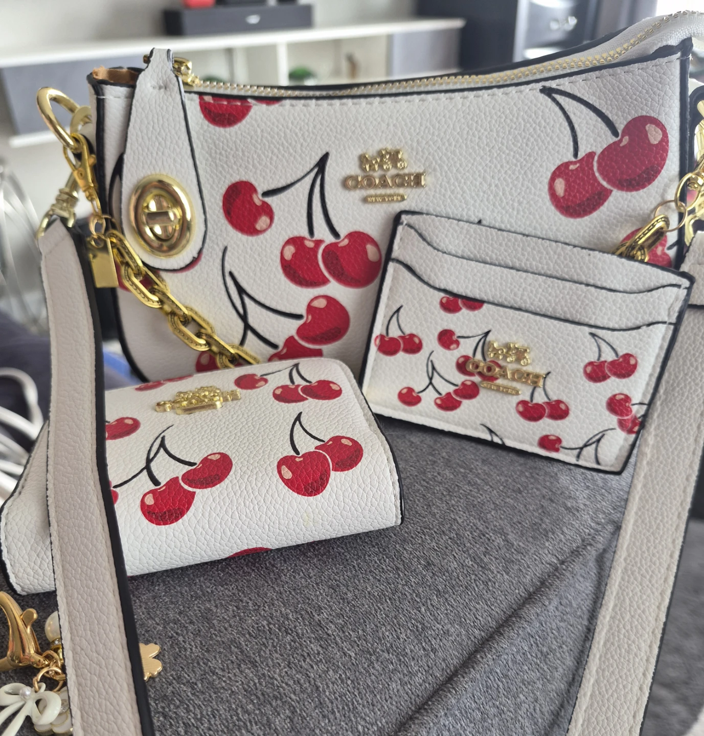 Coach Cherry Print Bag 3pc Set