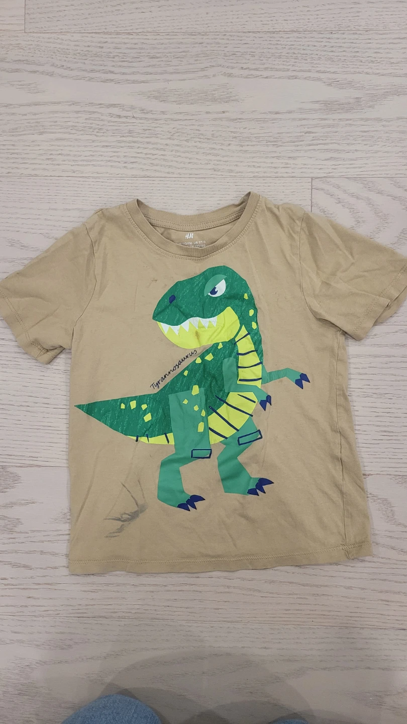 Well worn long sleeve and short sleeve T-shirts for 4T and 5T - photo 2