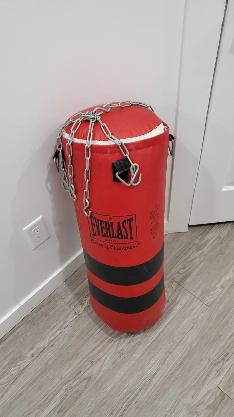 Everlast Punching Bag