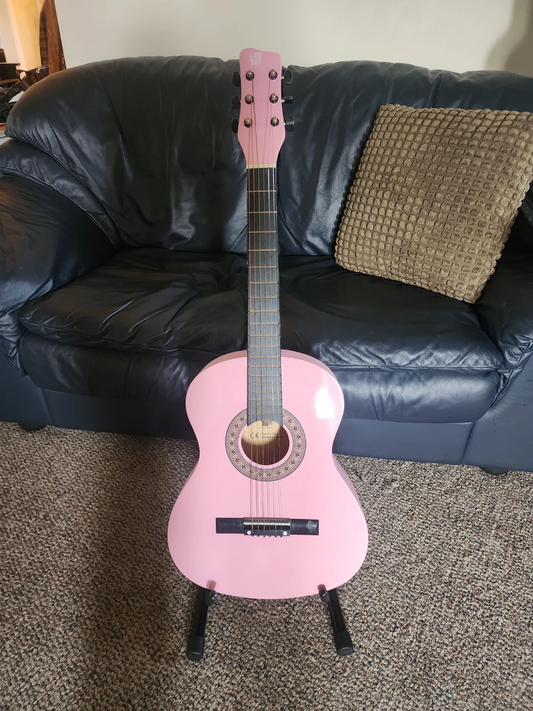 Pink Concert Acoustic Guitar