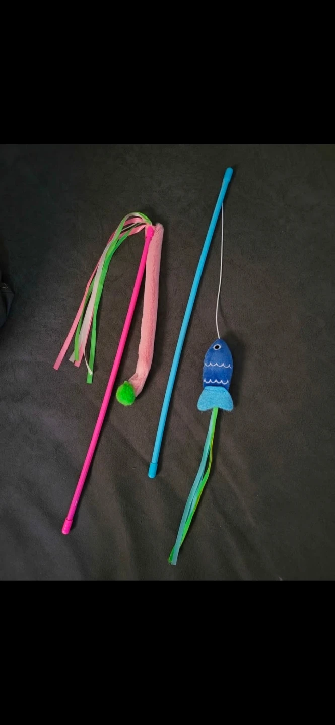 Cat Wand Toys (2 pcs)