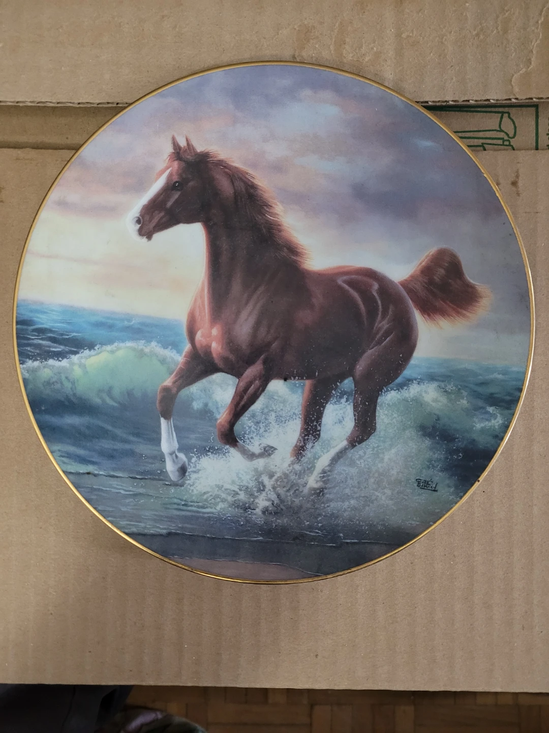 The Hamilton Collection "Surf Dancer" Decorative Plate