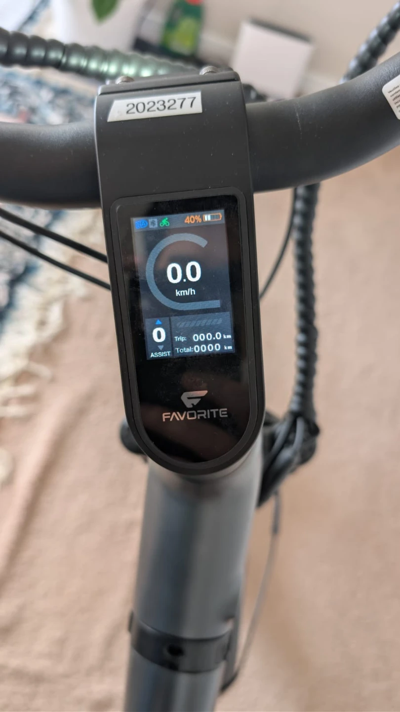 Favorite Electric Bike