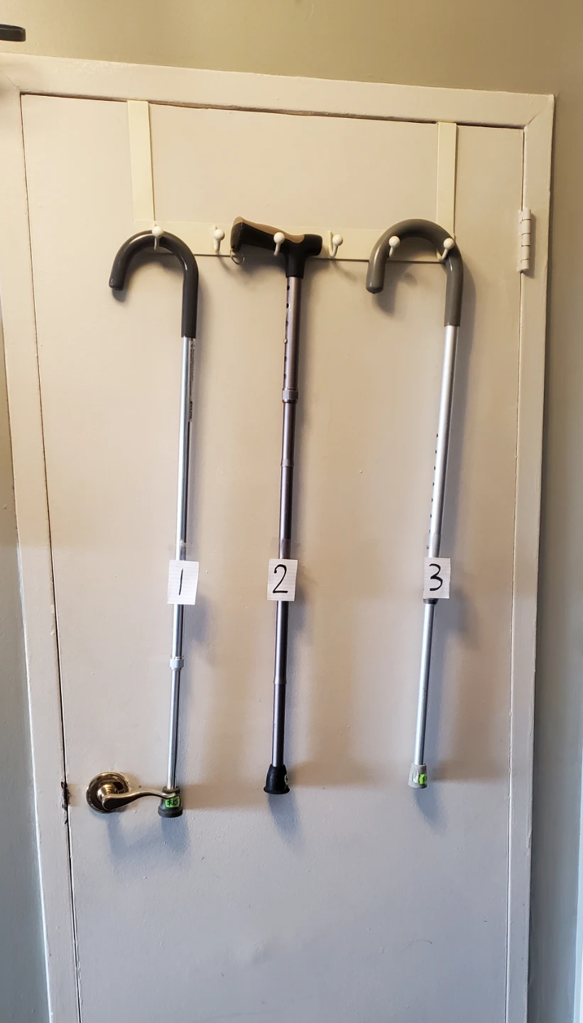 Walking Sticks & 2 White Cane - photo 4