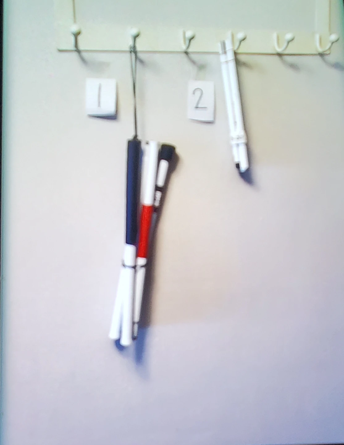 Walking Sticks & 2 White Cane - photo 5