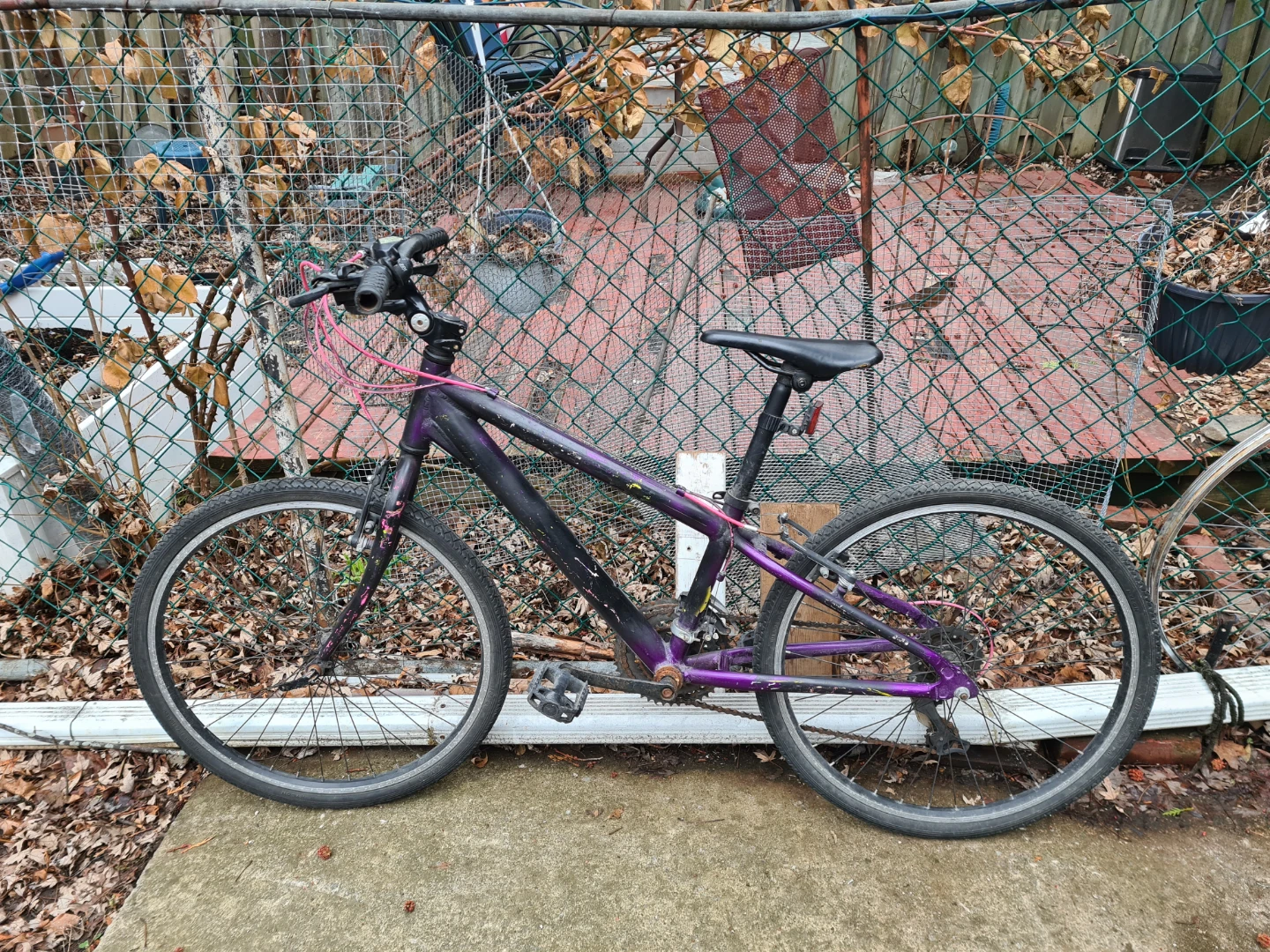 Purple Mountain Bike