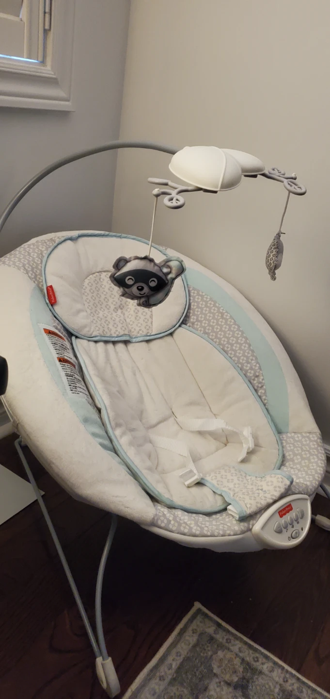Fisher-Price Moonlight Meadow Deluxe Bouncer - photo 3