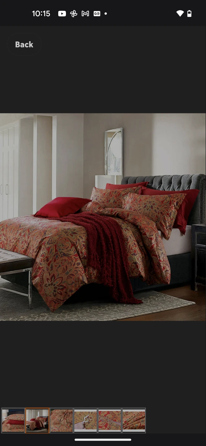 King Paisley Bedding Set