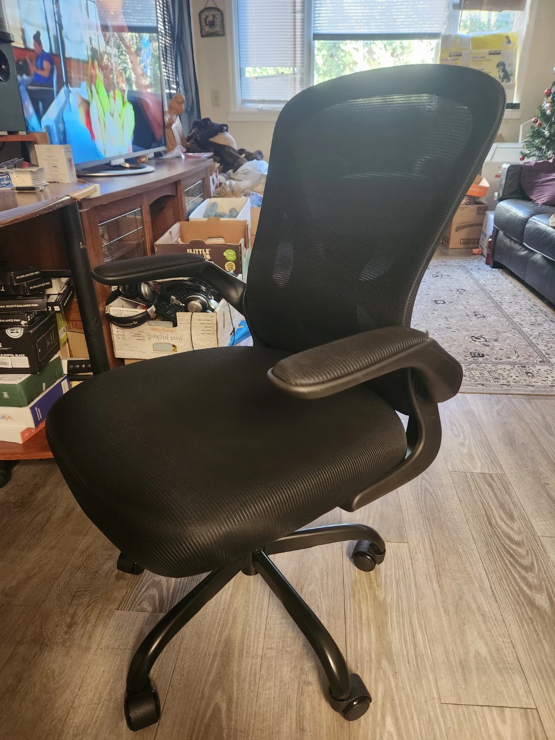 SYTAS Office Chair - Model SBGY001 (New)