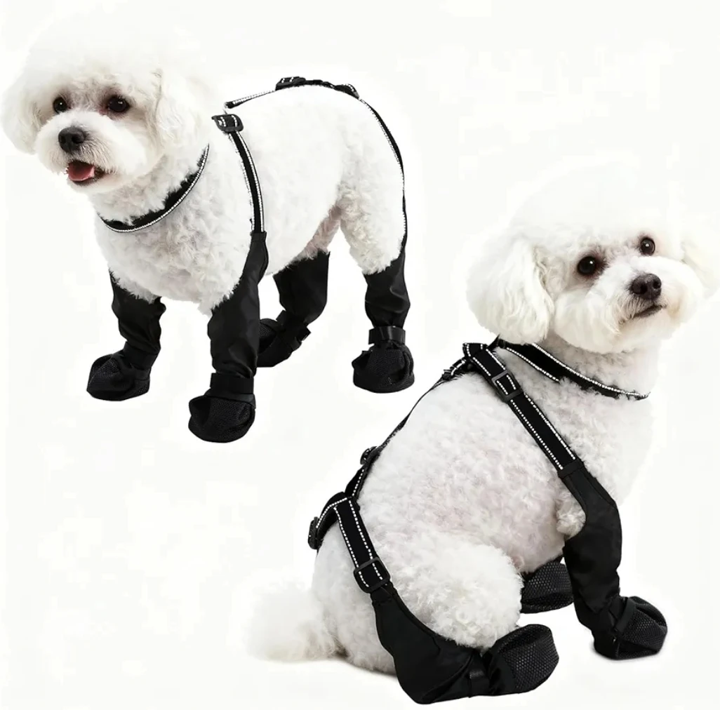 Dog Walking Boots Size Small - Black - photo 3