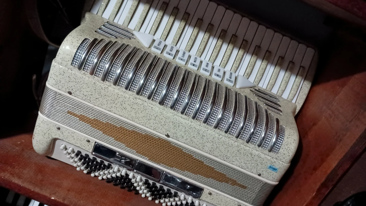 Vintage Accordion