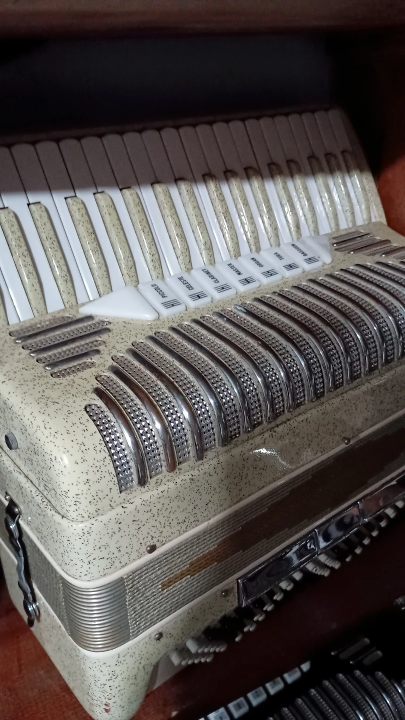 Vintage Accordion - photo 2