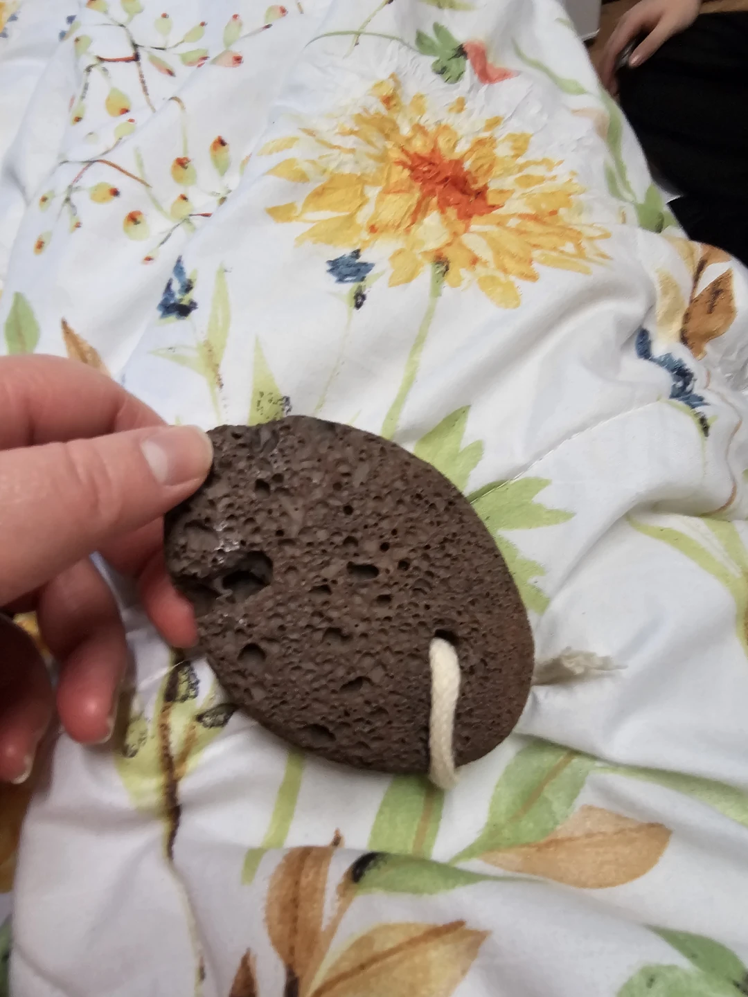 Wooden Handle Foot Brush with Pumice Stone