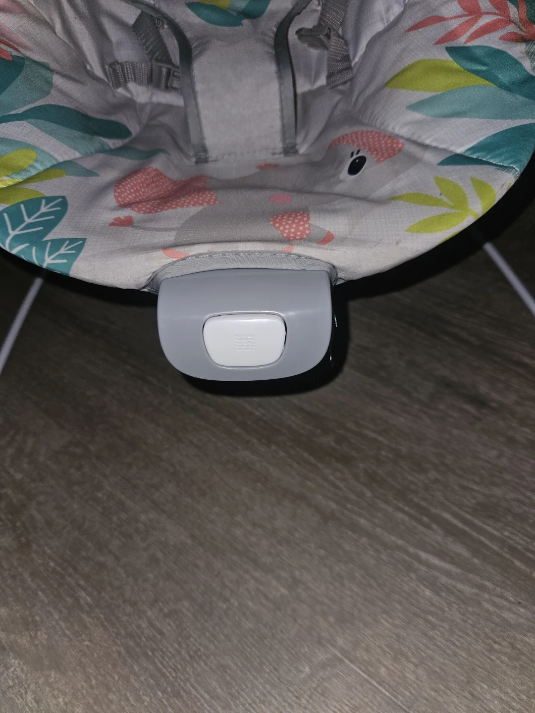 Kids II Baby Bouncer Seat - photo 2