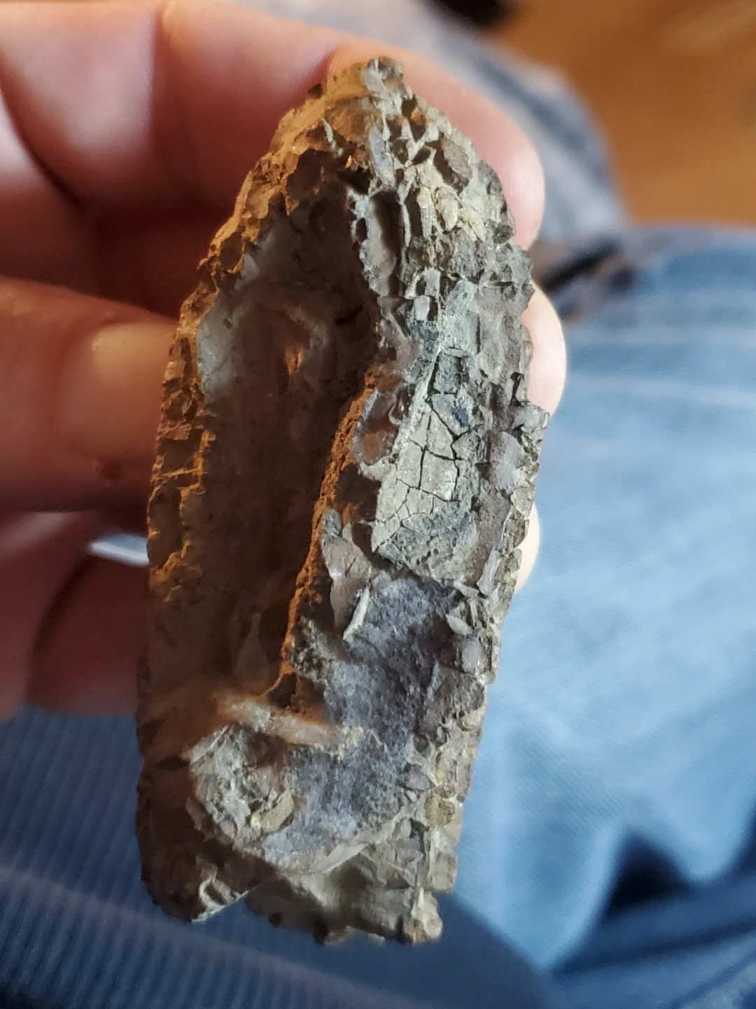 Fossilized specimen - photo 5