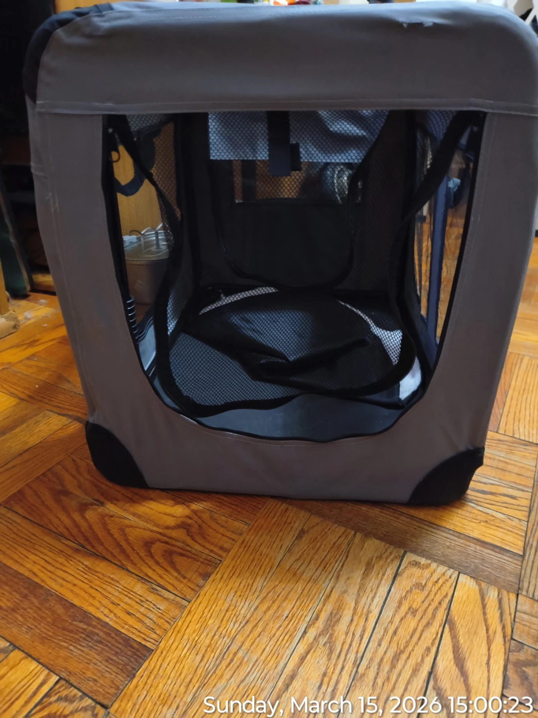 Large Soft Pet Carrier