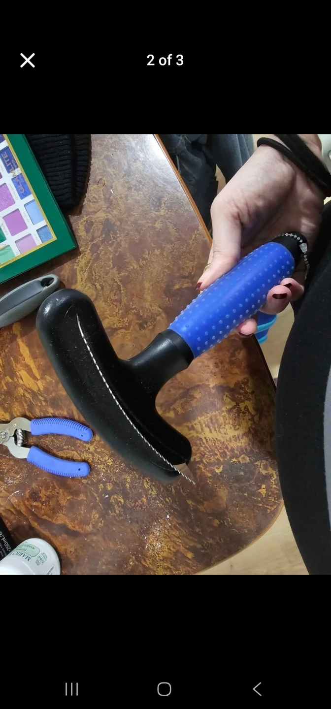 Pet Grooming Brush with Blue Handle - photo 2