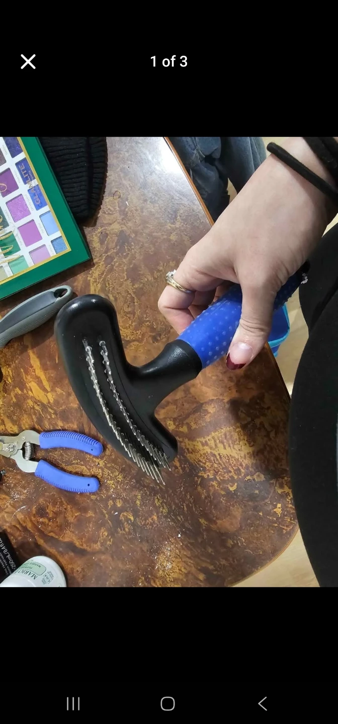 Pet Grooming Brush with Blue Handle - photo 3