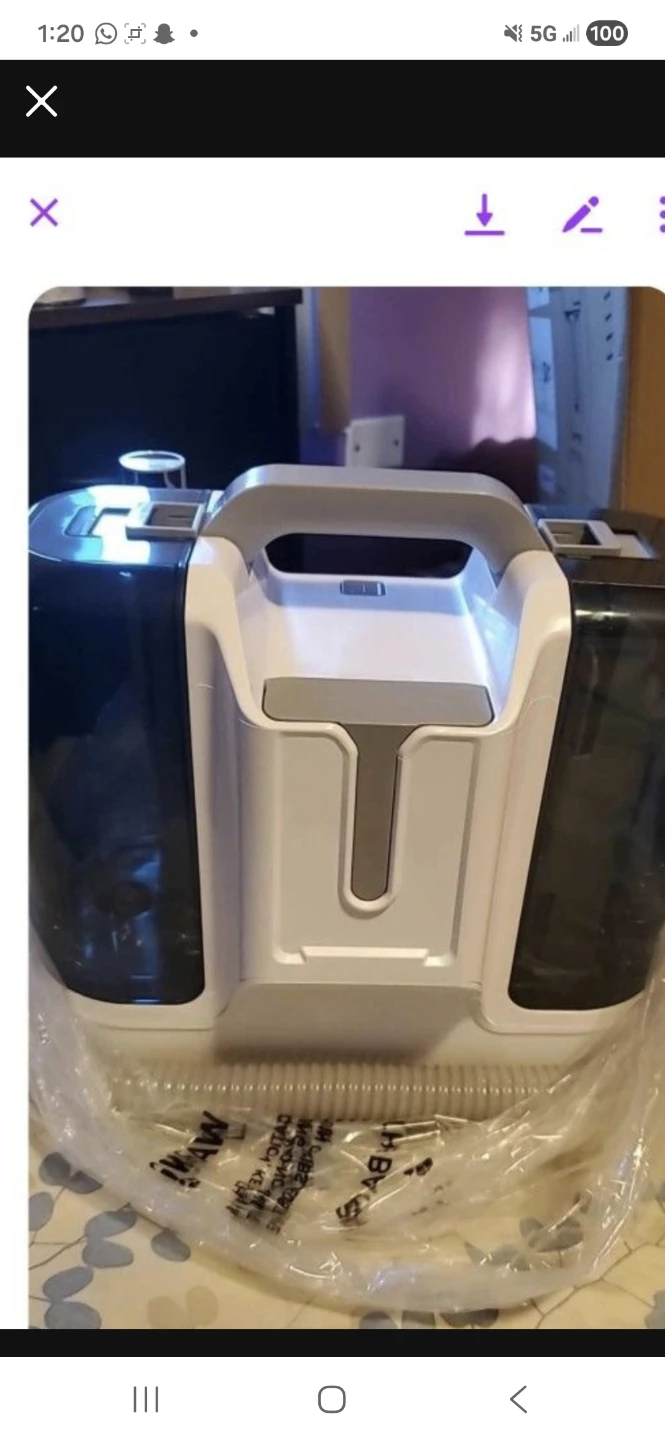 Portable Carpet Cleaner