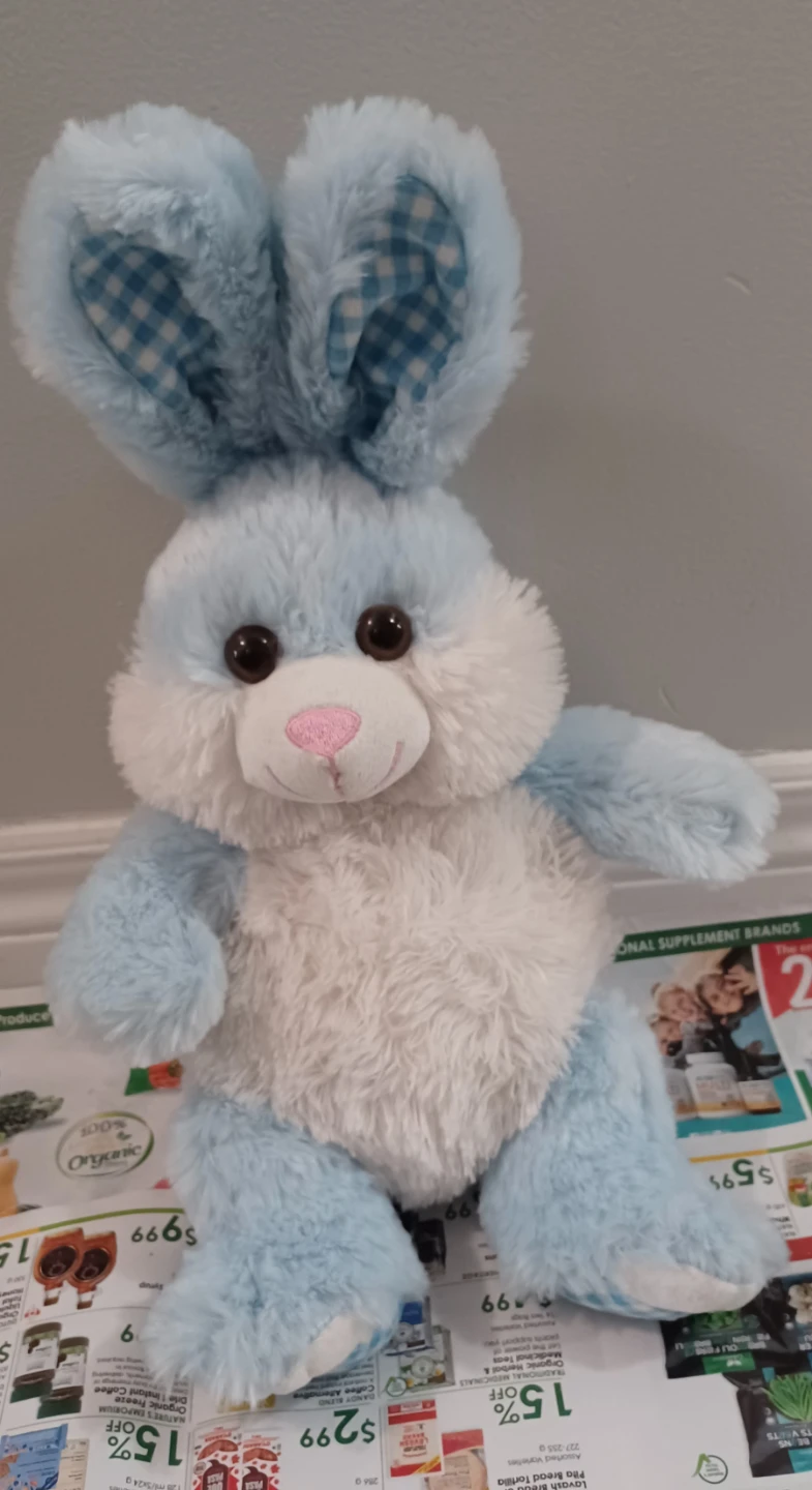 Blue Plush Bunny Stuffed Animal