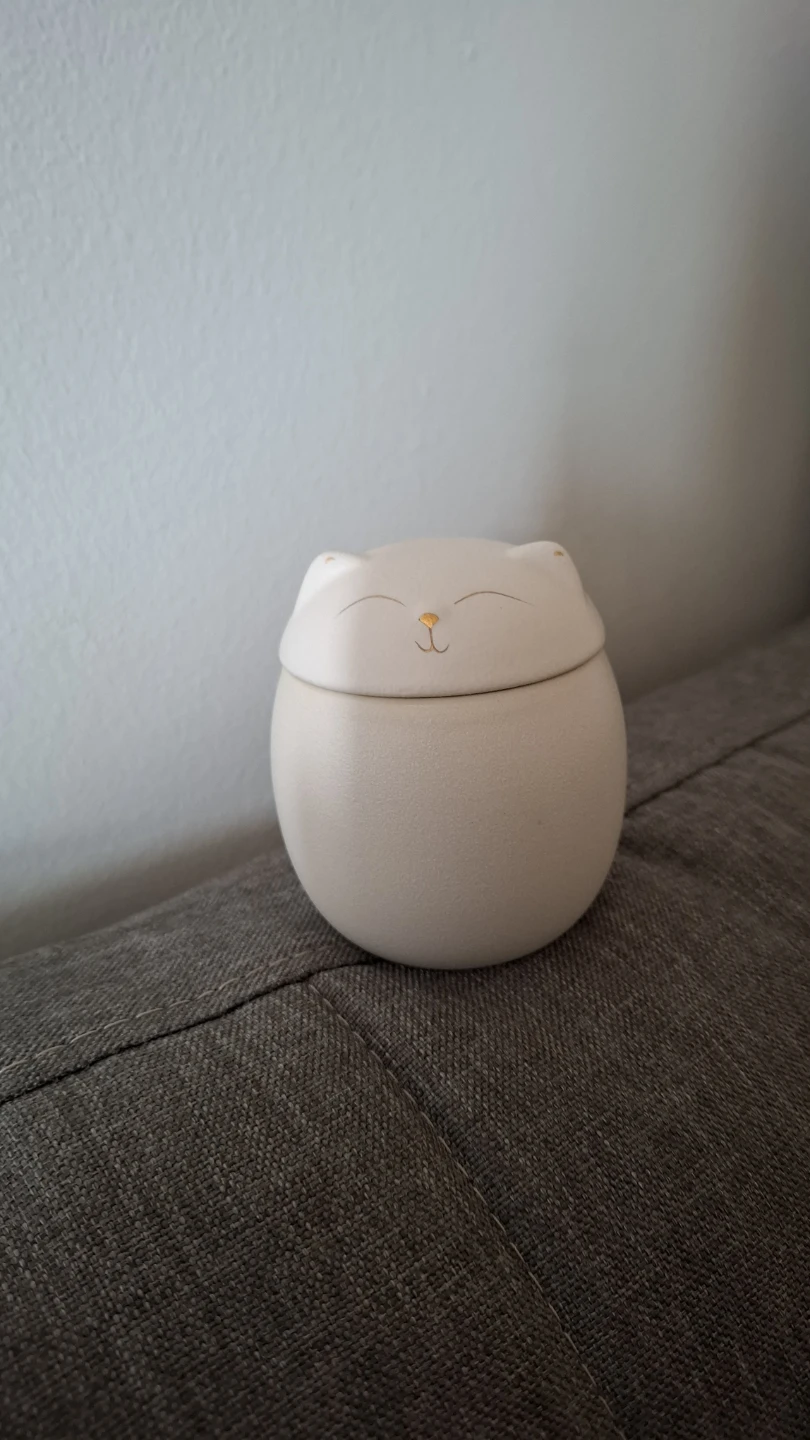 Cat Ceramic Jar with Lid