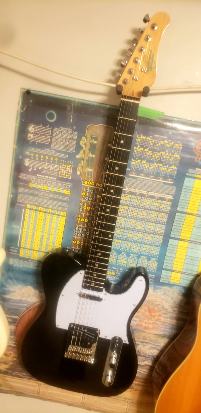 Oscar Schmidt by Washburn Black Tele+GigBag+Strap - photo 2