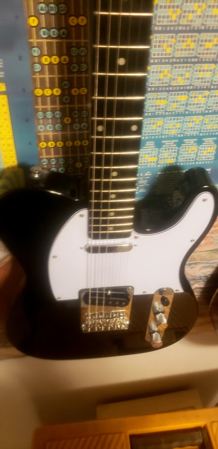 Oscar Schmidt by Washburn Black Tele+GigBag+Strap - photo 5
