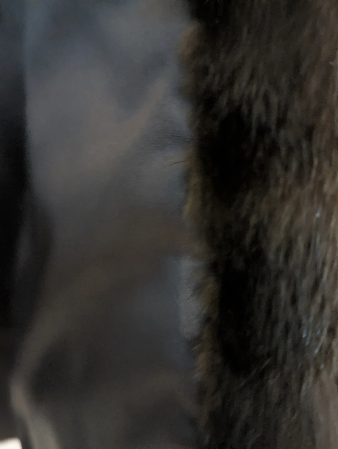 Women's Fur Coat - photo 3