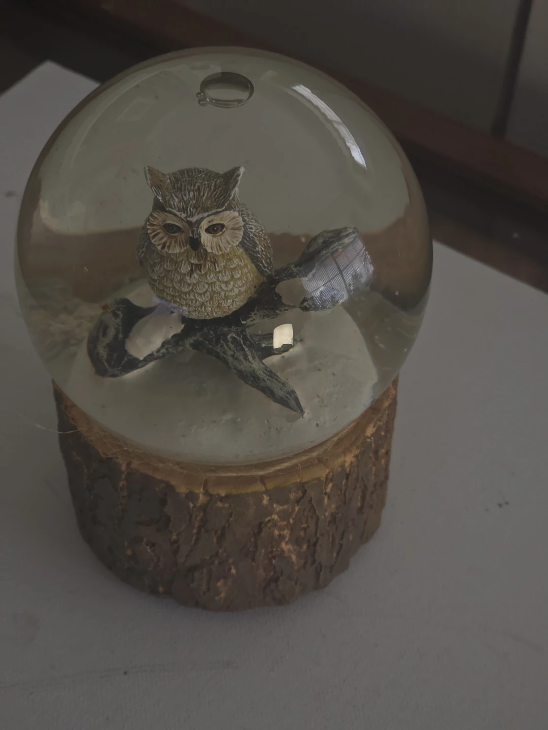 Musical Snow Globe with Owl