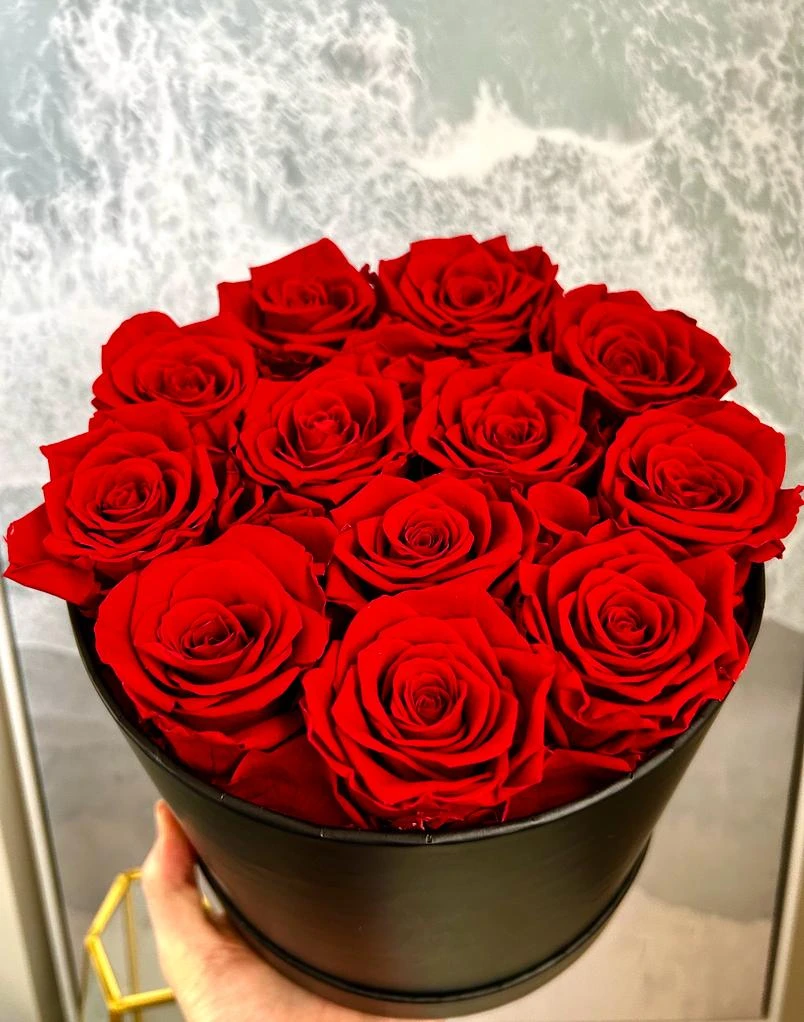 Preserved Red Roses