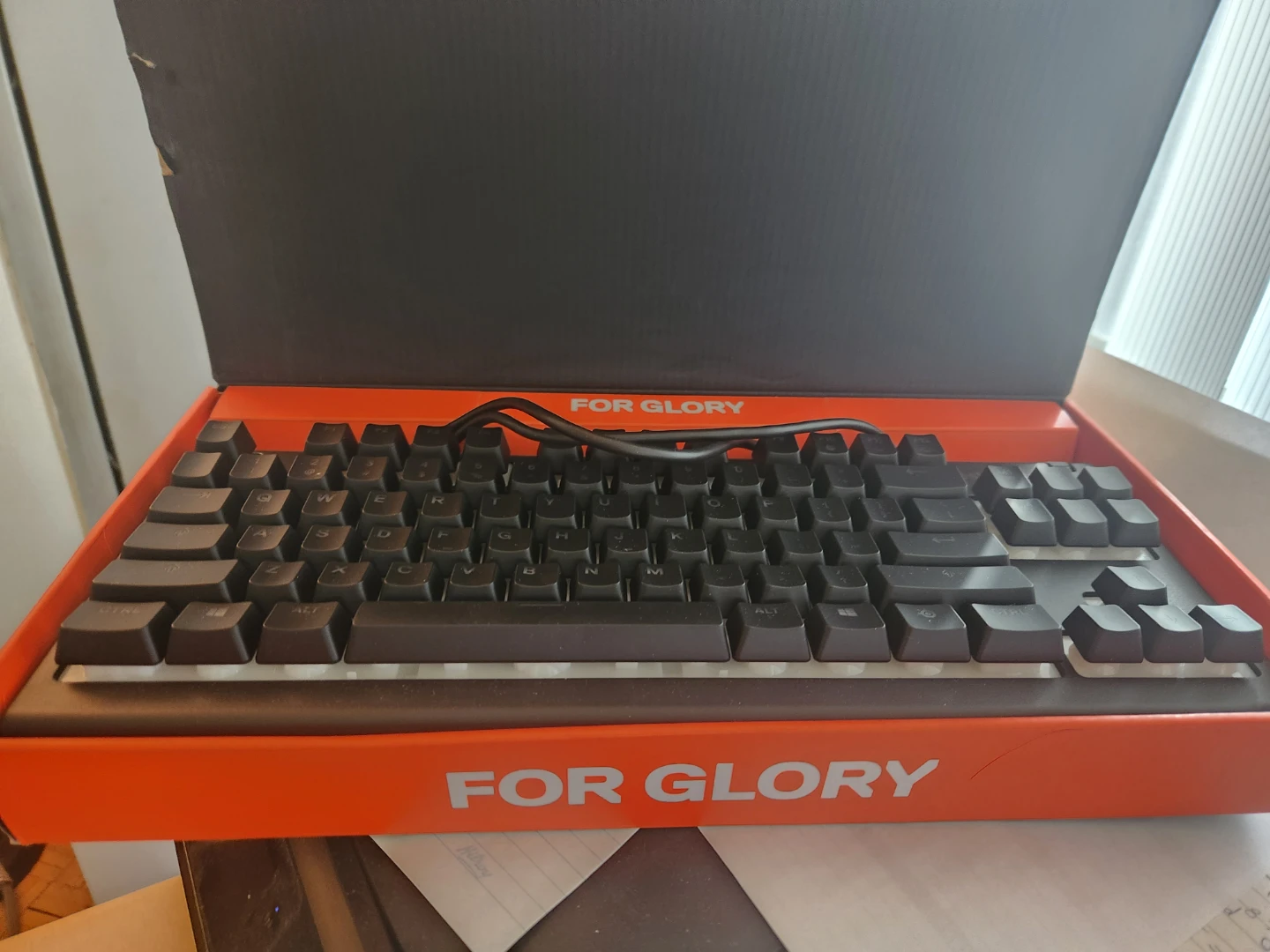SteelSeries Apex 3 TKL Gaming Keyboard - photo 3