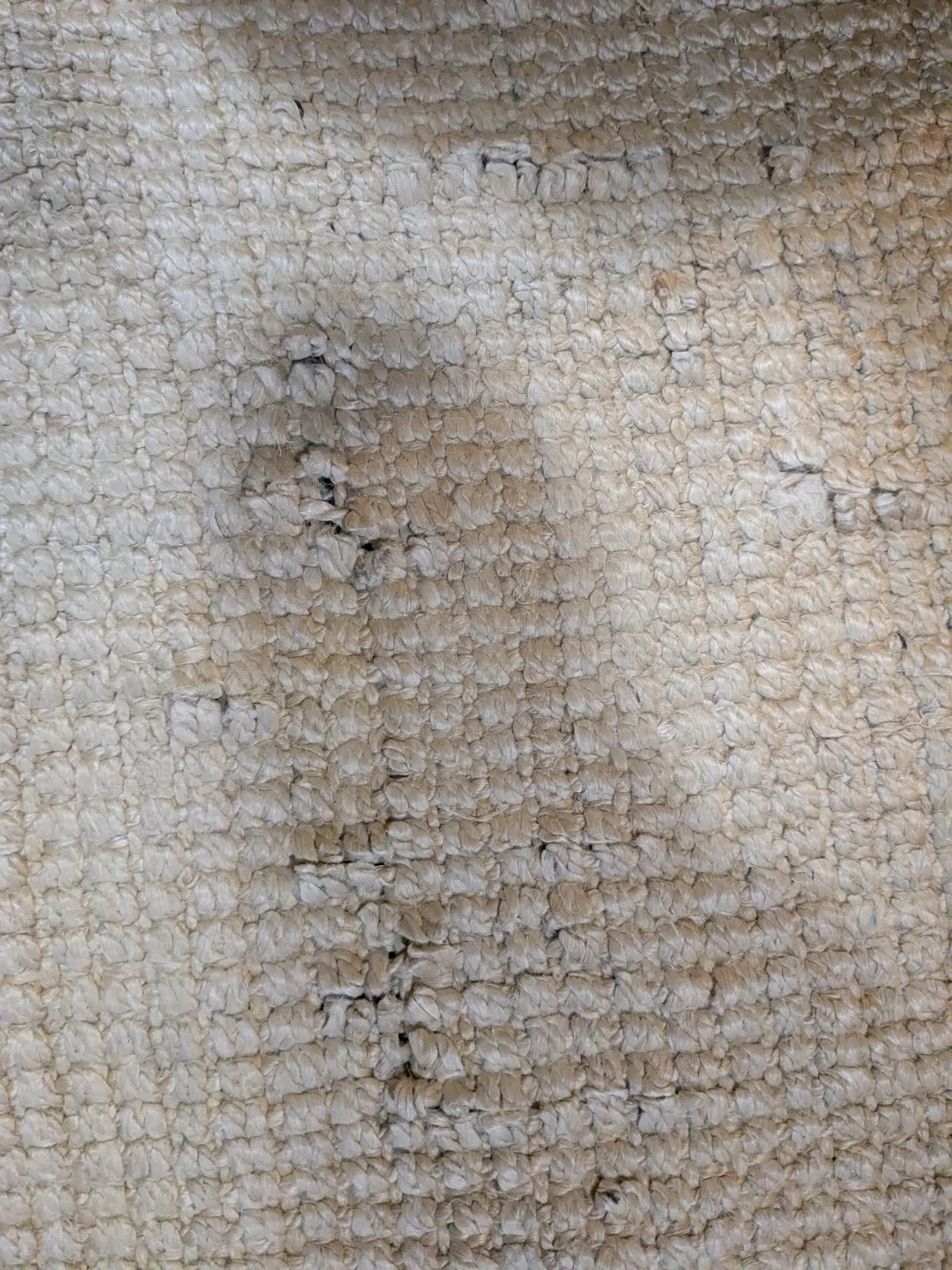 West Elm Jute Boucle Rug - Flax - photo 5
