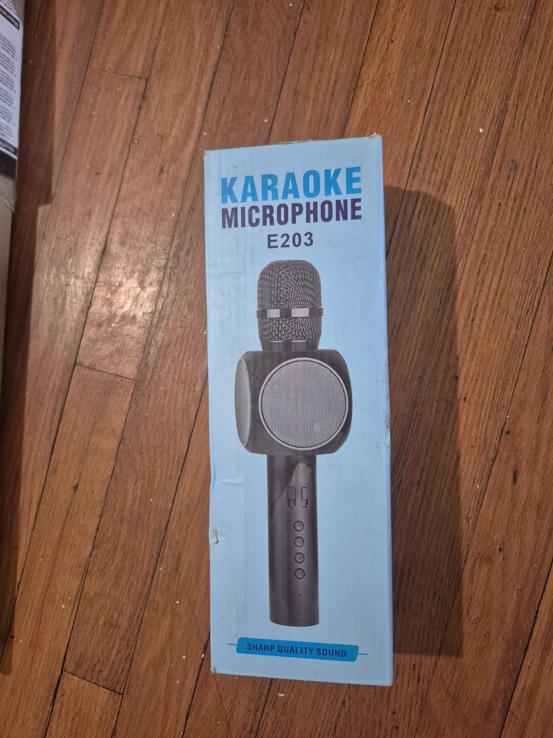 Eray E203 Karaoke Microphone with Speaker