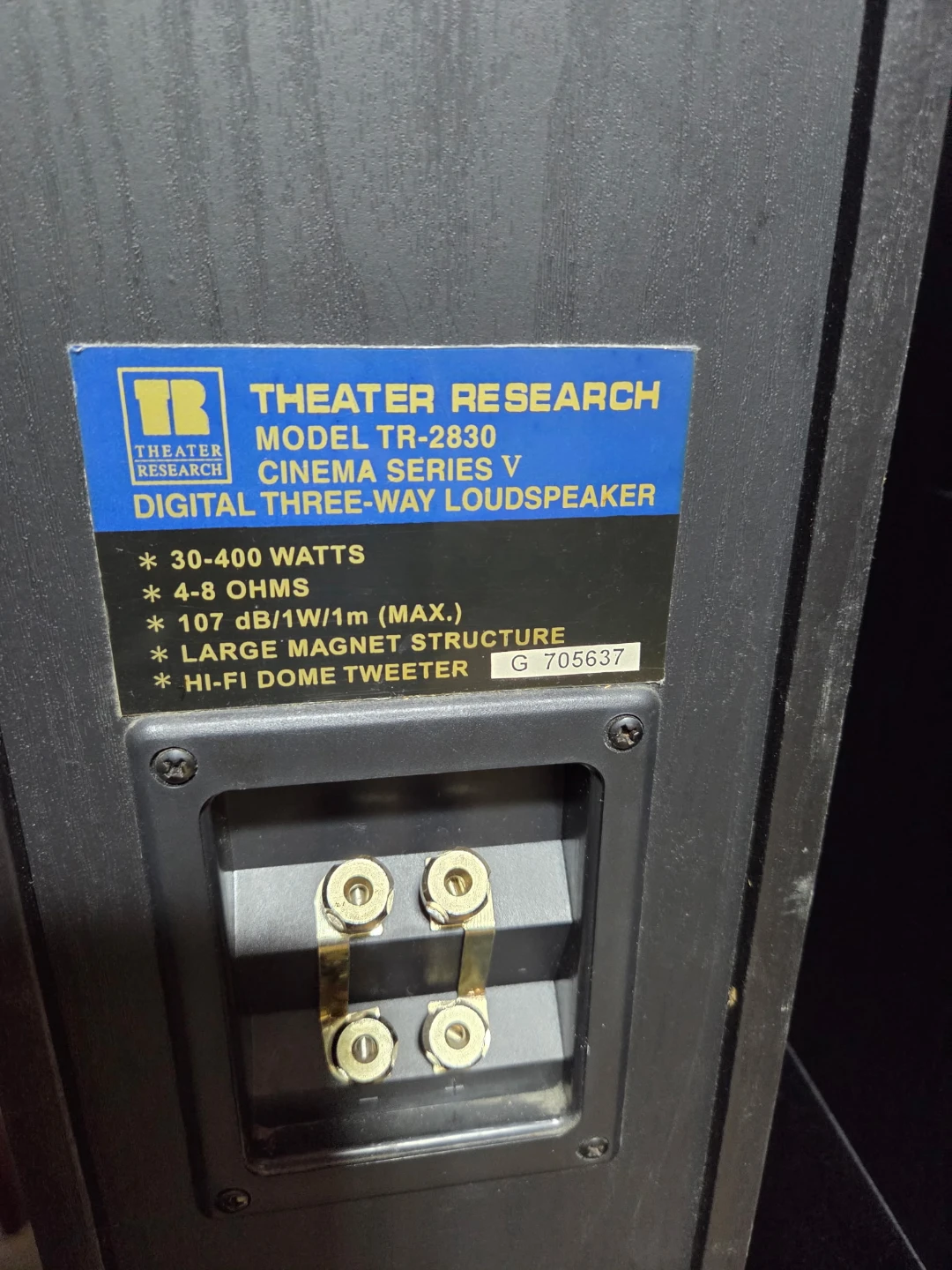 Tower Speakers - photo 3