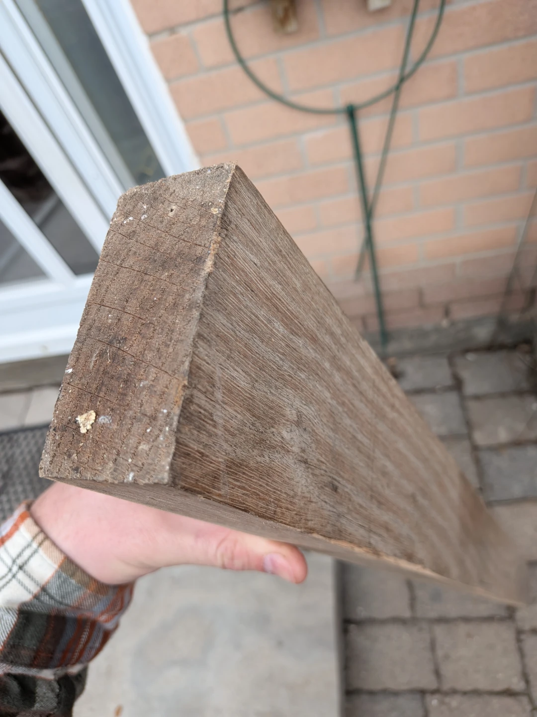 Solid Oak Slab - photo 2