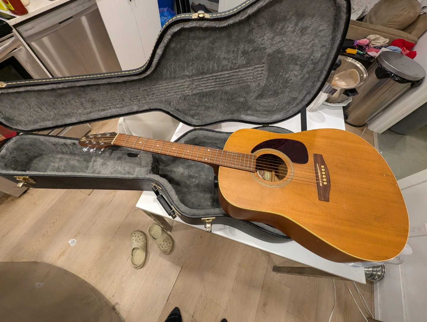 Acoustic Guitar with Hard Case